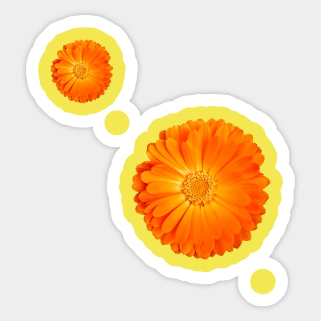Orange Flower on sunny yellow background Sticker by sarahlroozendaal